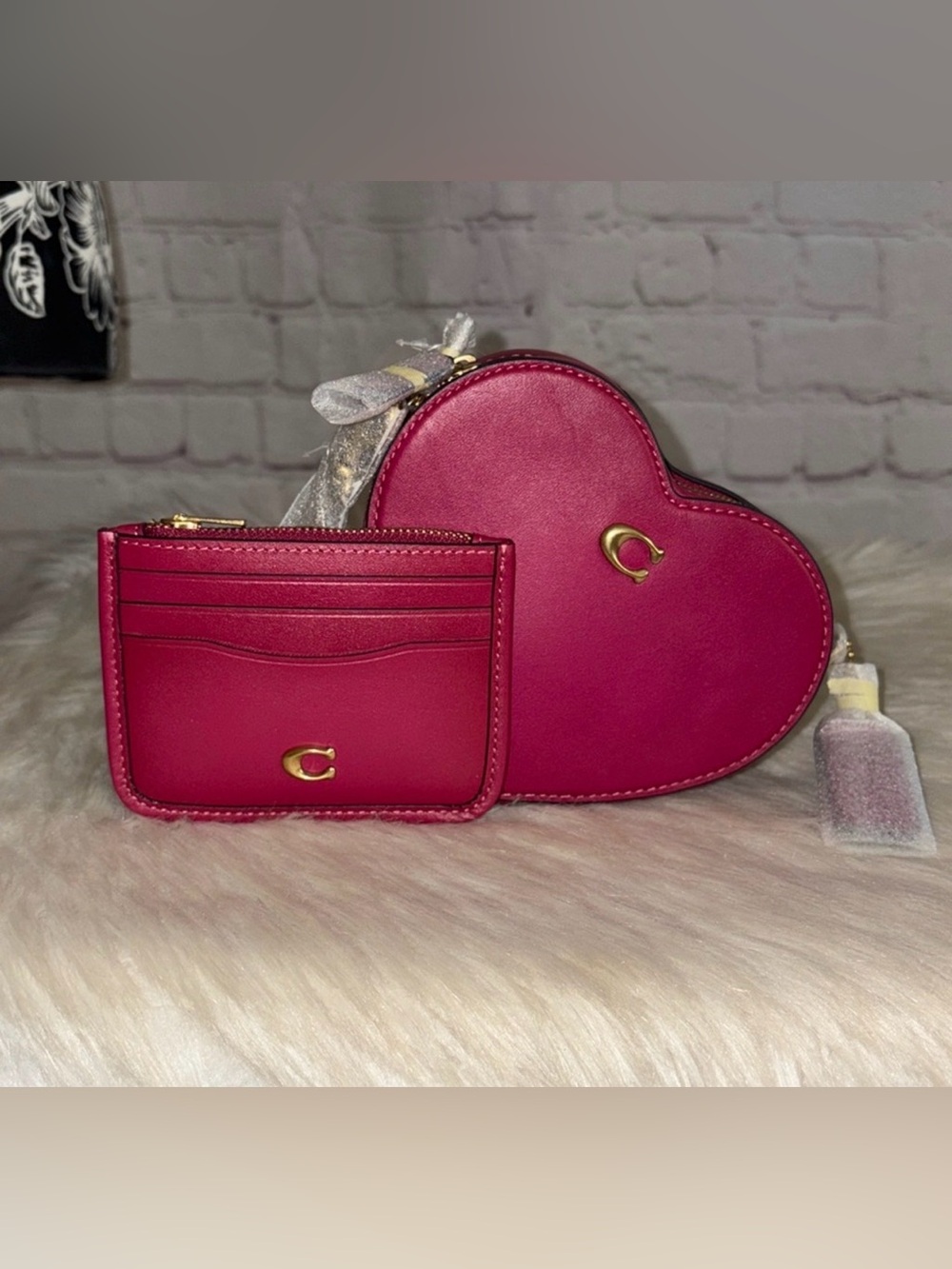 Coach HEART Shaped Xbody/Card Case 2pc Set